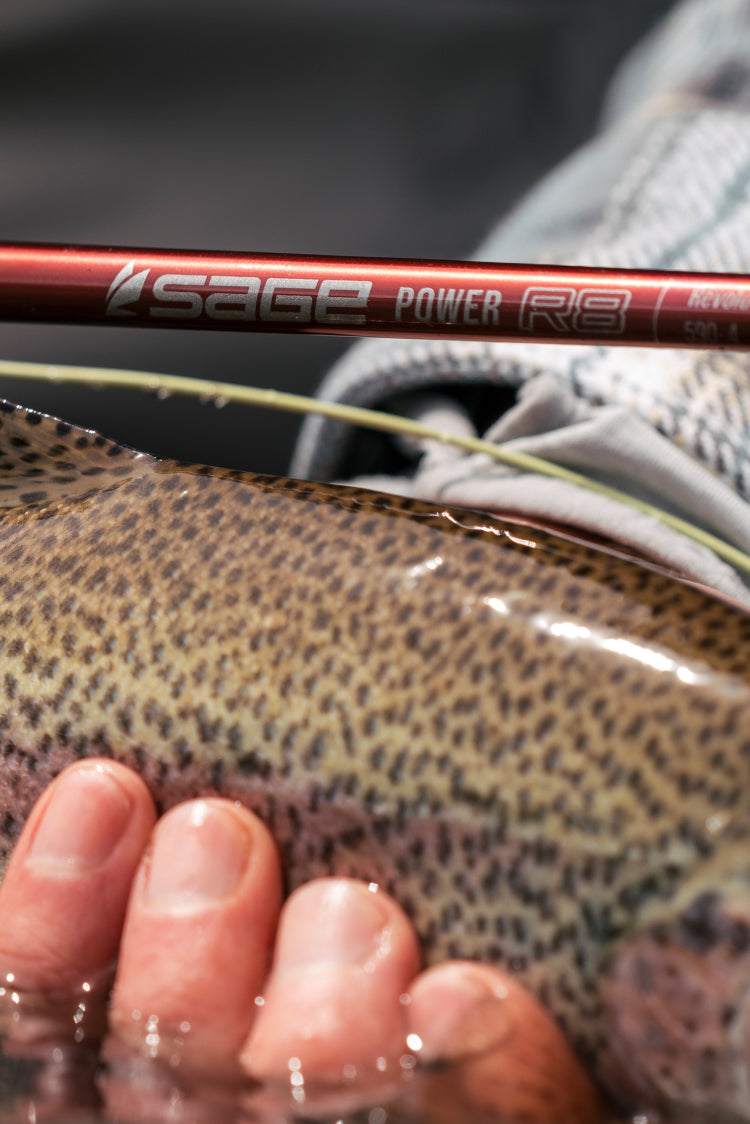 Sage - Fly Fishing Gear & Fly Fishing Equipment | Since 1980