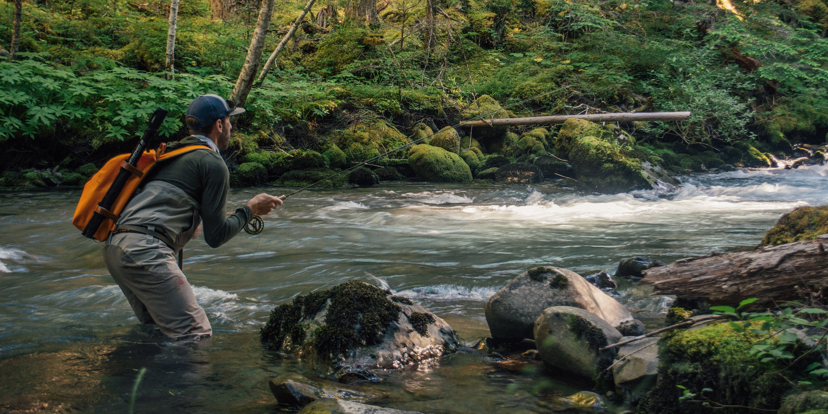 DART Fly Fishing Rod 4 Weight, 7ft 6in | Sage