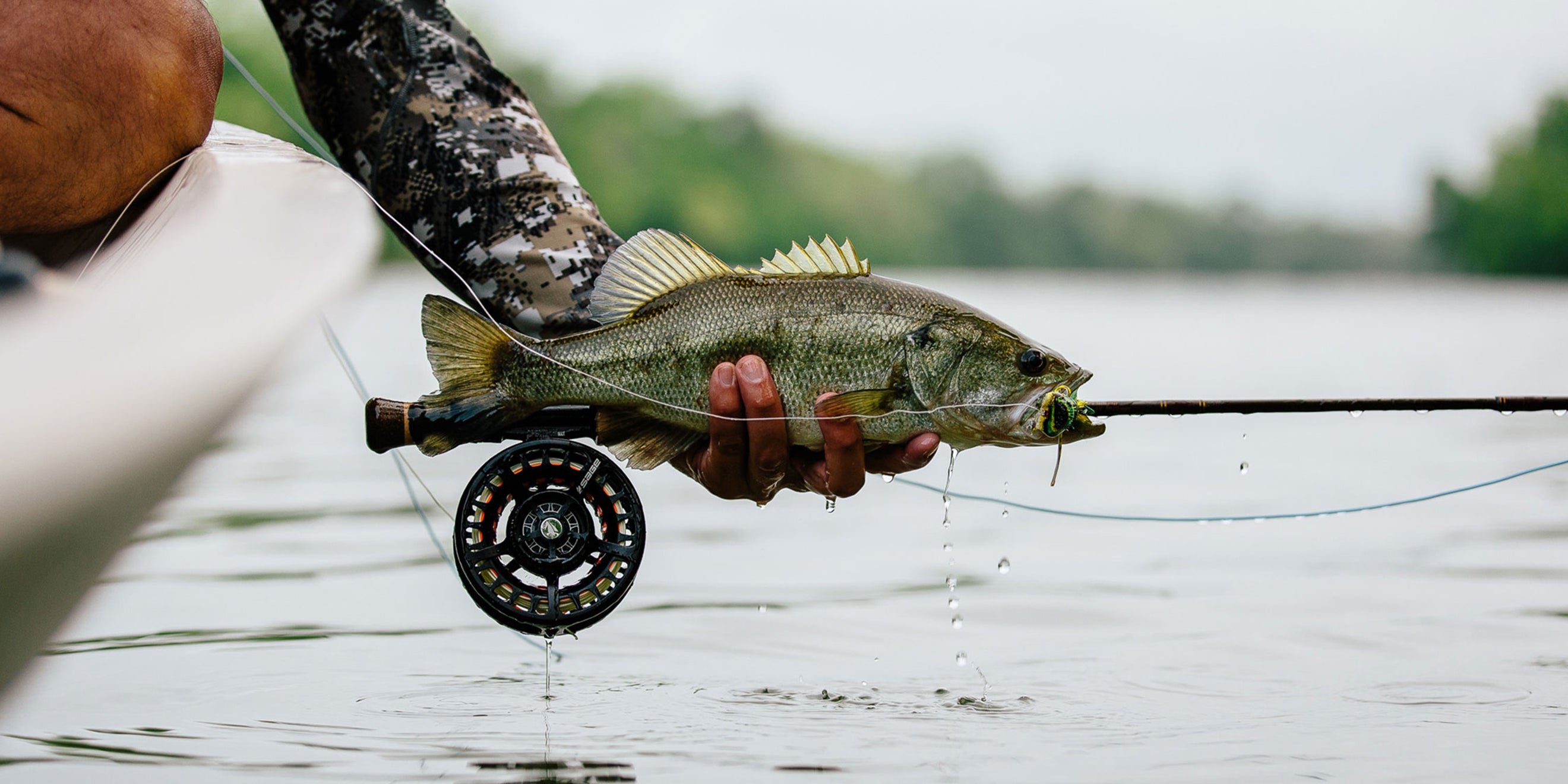 PAYLOAD Fly Fishing Rod 8 Weight, 8ft 9in | Sage