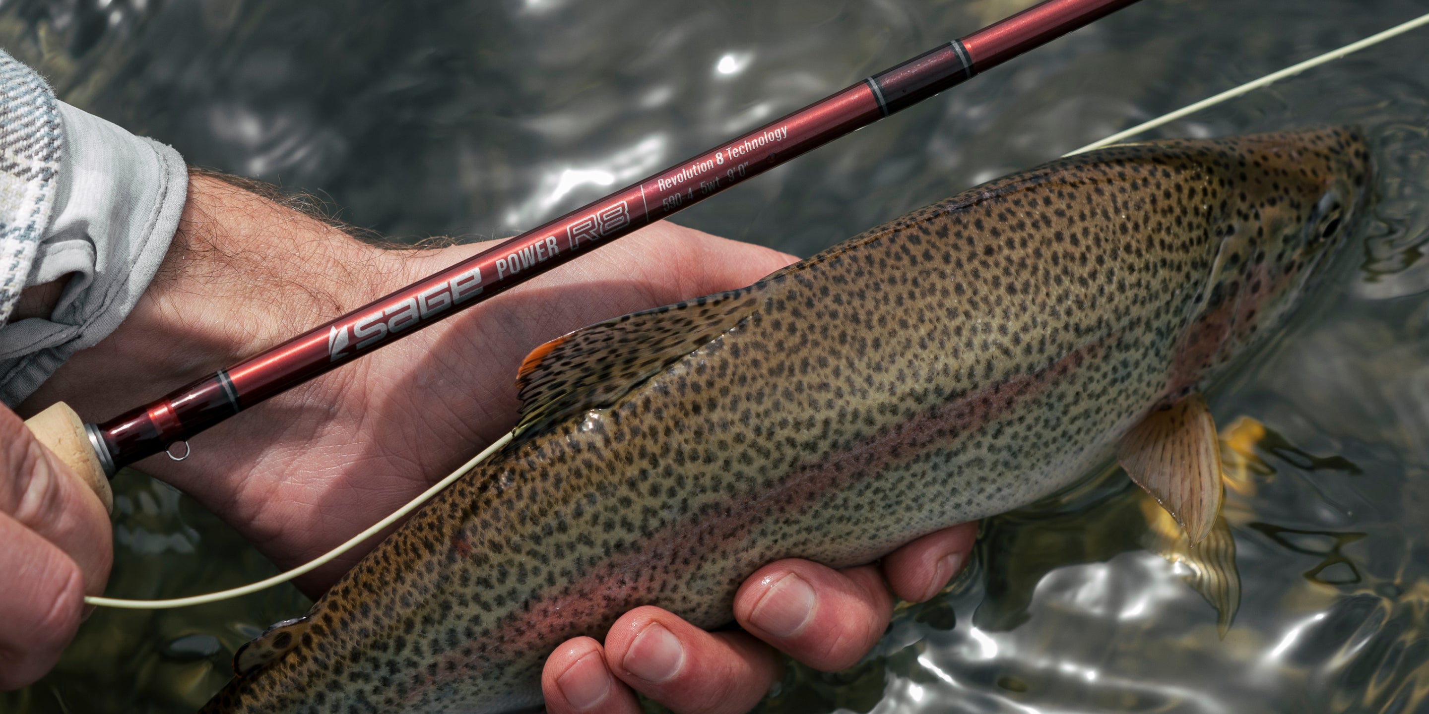 close up of Sage Power R8 Rod held next to rainbow trout