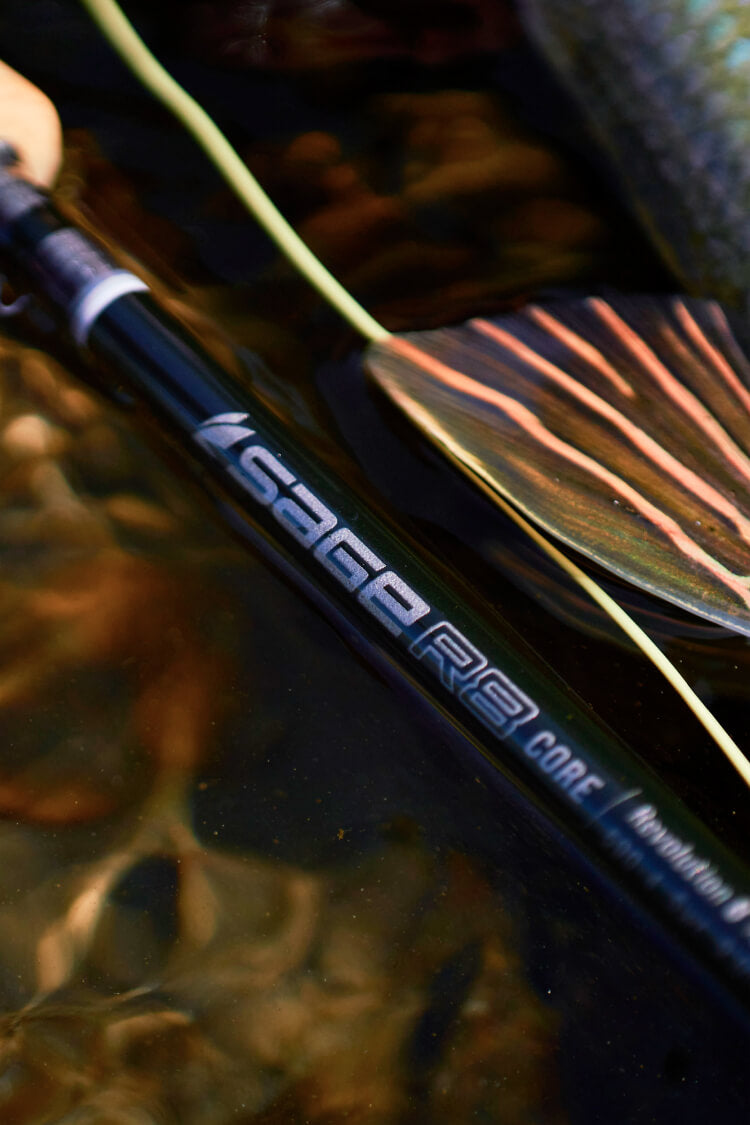 Sage R8 Core Fly Rod - Fin & Fire Fly Shop