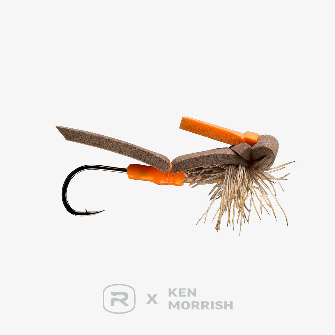 October Caddis