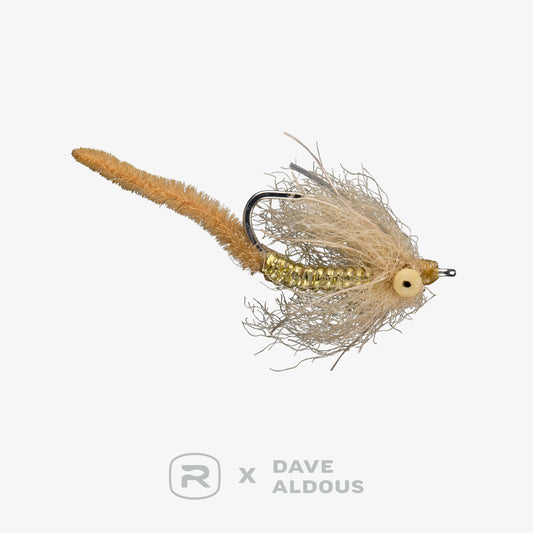 RIO's Aldous Flats Worm
