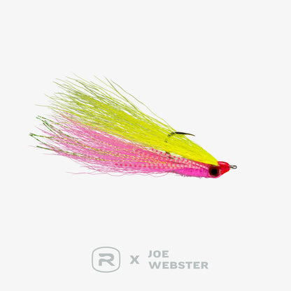 RIO's Webster Crouser
