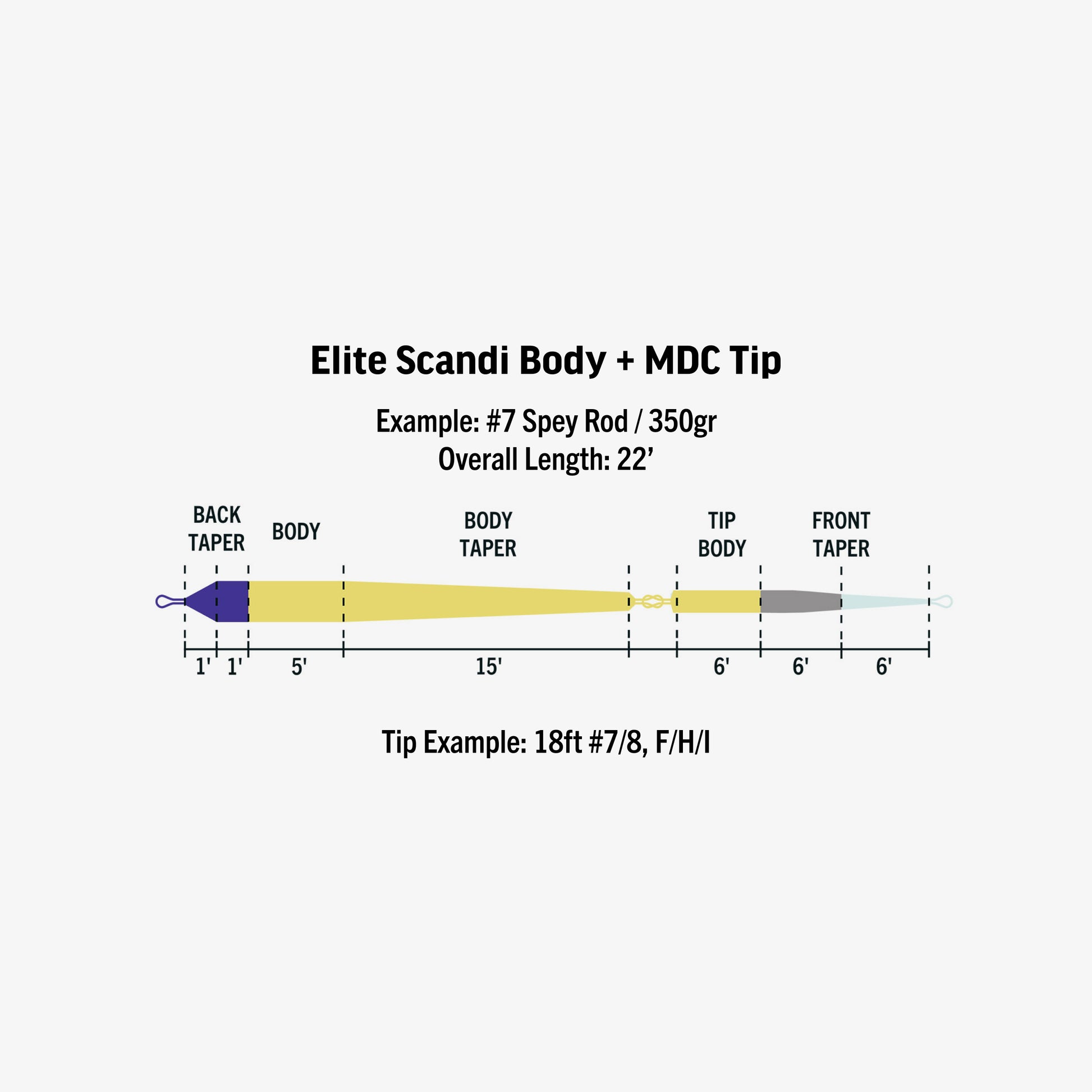 Elite Scandi Body + MDC Tip Taper Profile

Example #7 Spey Rod / 350gr
Overall Length 22'

Tip Example 18ft #7/8, F/H/I