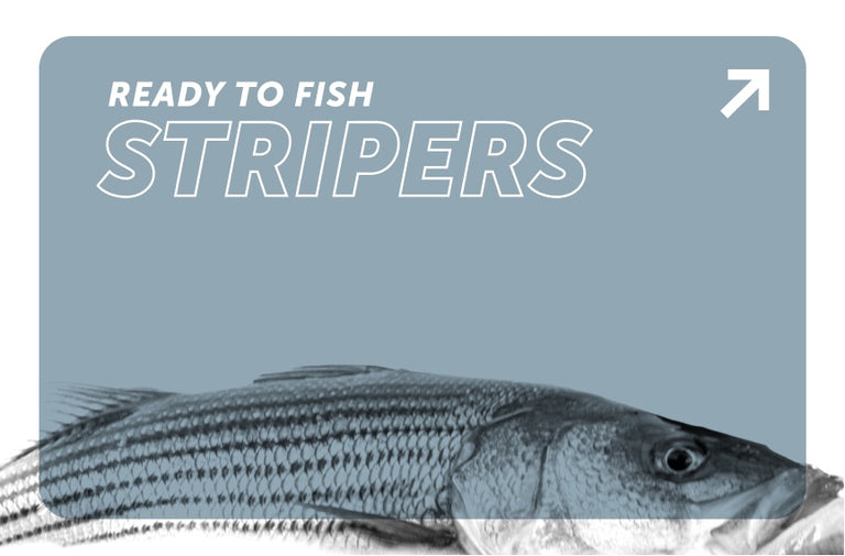 Redington Striper Gear