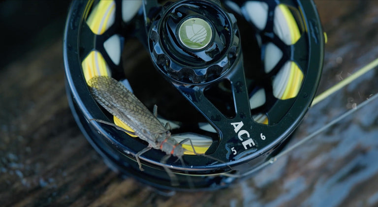 ace 60 fishing reel ACE 5/6 Fly Fishing Reel