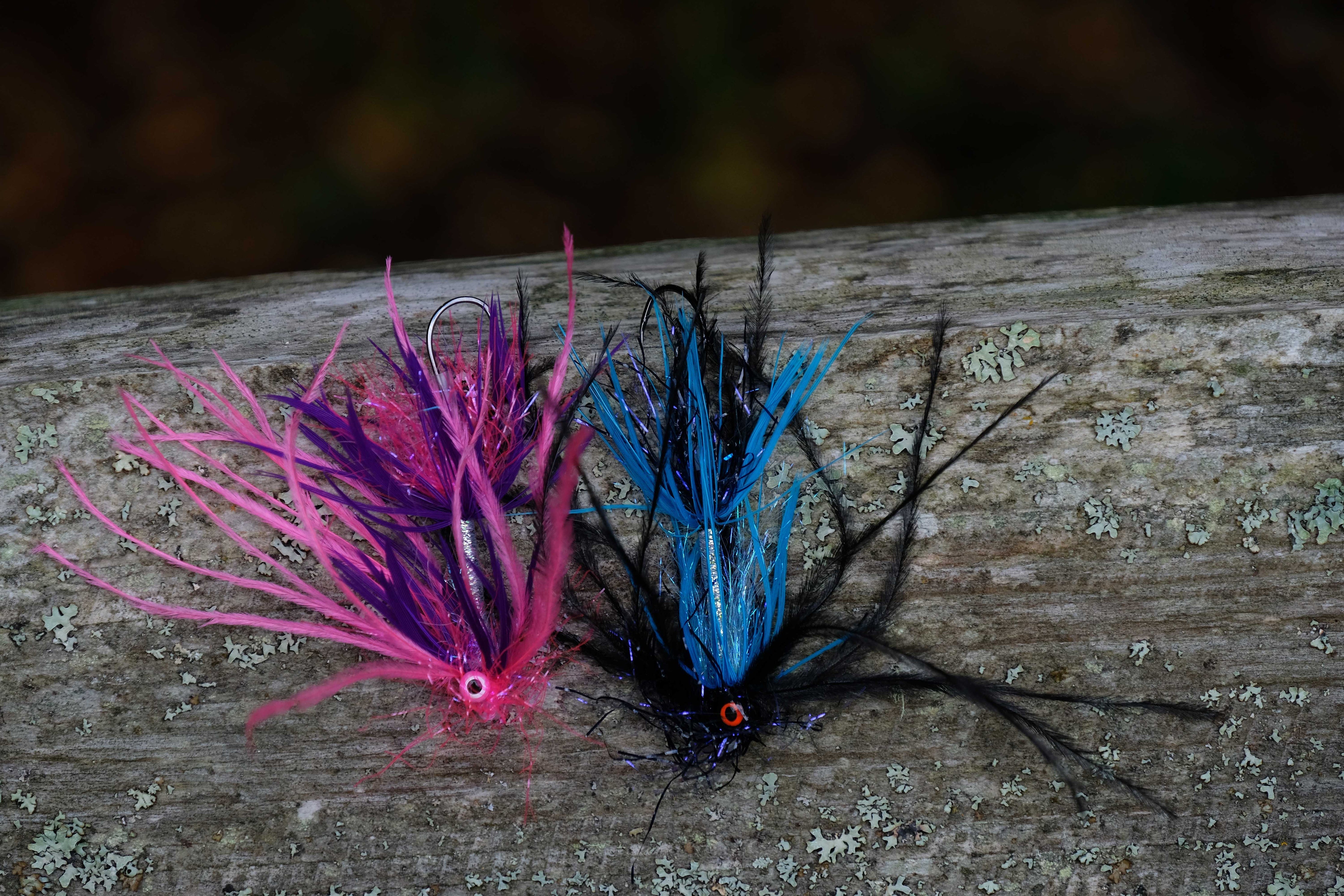 Behind The Fly - RIO's Animal