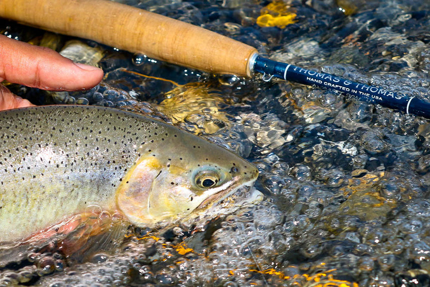 elk river fishing poles Elk River Guiding Company
