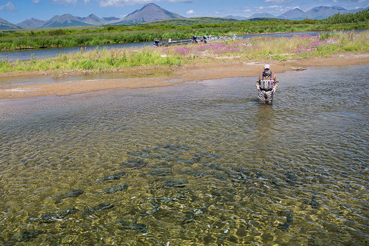 Goodnews River Lodge