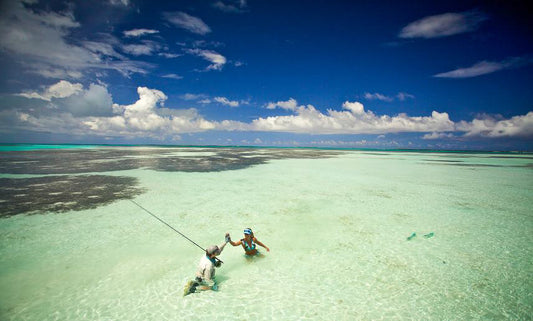 Alphonse Island Resort