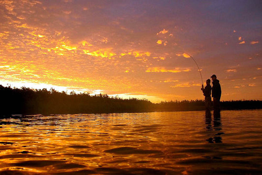 Reel Action Alaska Lodge