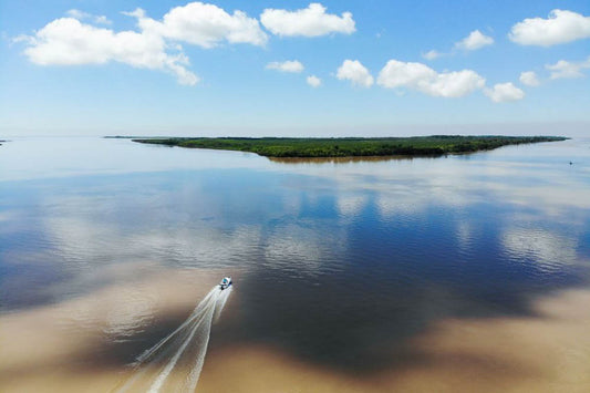 Urban Dorado Anglers