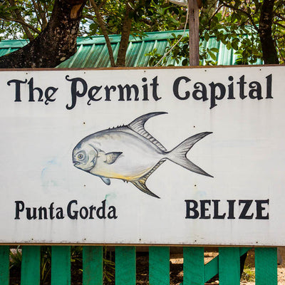 Blue Horizon Lodge - Hopkins, Belize Permit Fly Fishing