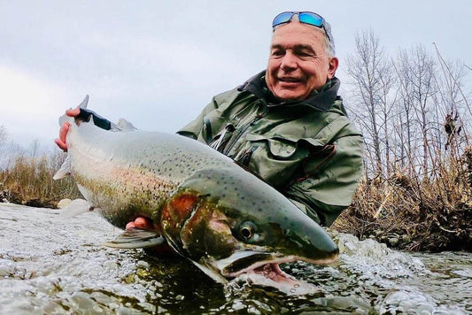Alaska Steelhead Co.