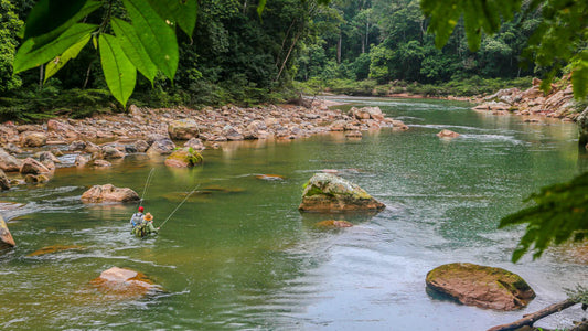 Tsimane - Pluma Lodge