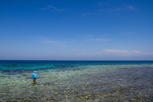 Blue Horizon Lodge