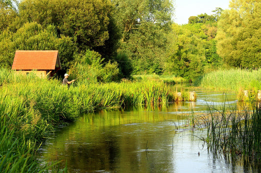 Chalk Streams of England