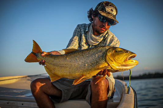 SET Golden Dorado Experience