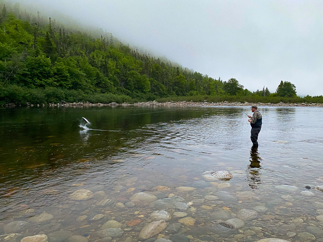 Salmon Hole Lodge Fly Water Travel 