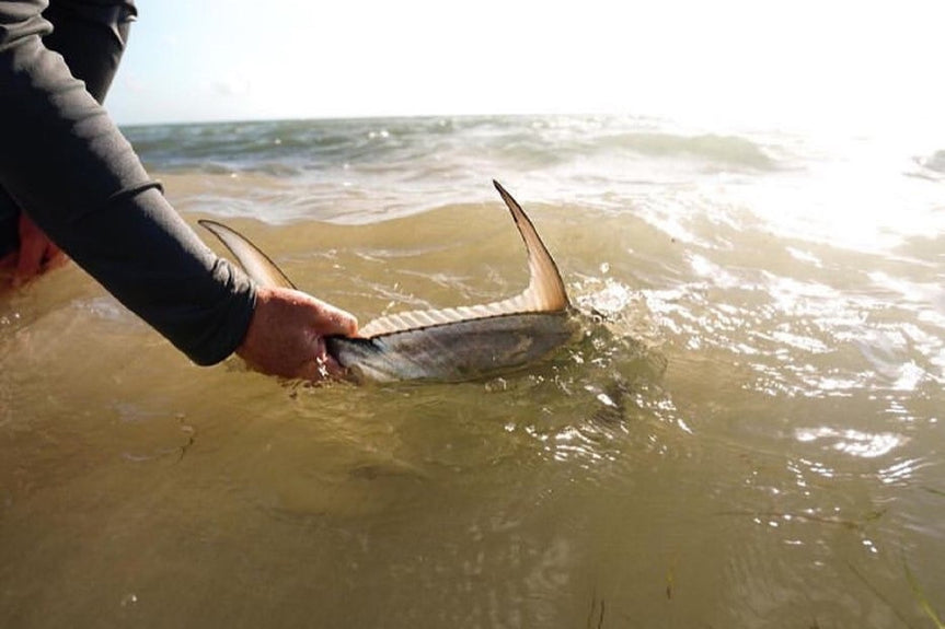 The Xflats | Fly Water Travel