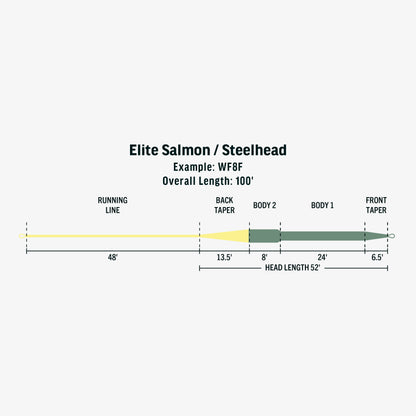 Elite Salmon/Steelhead