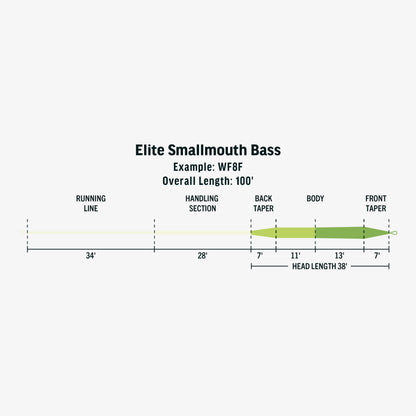 Elite Smallmouth Bass