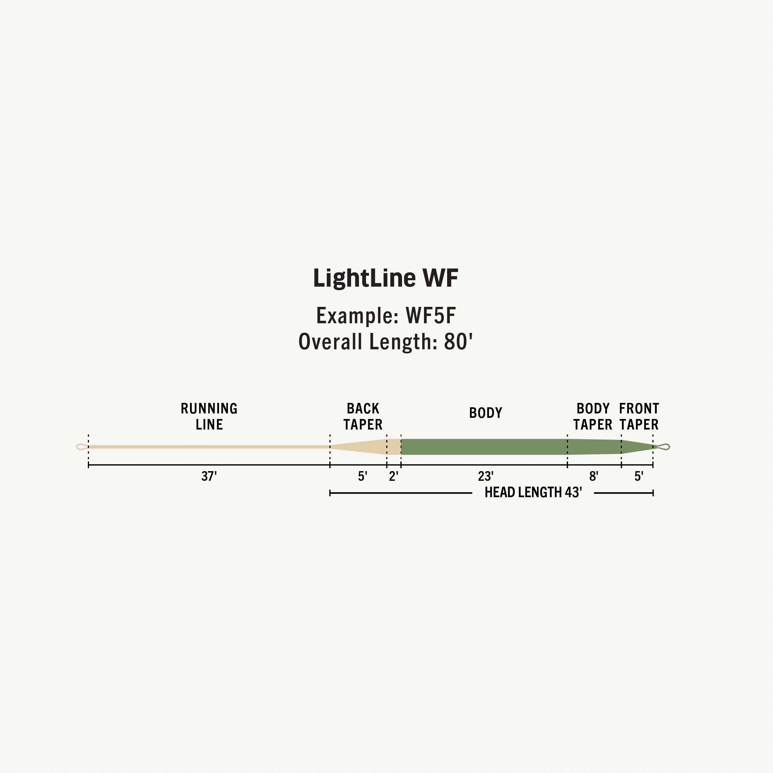 LightLine Fly Line | RIO Products