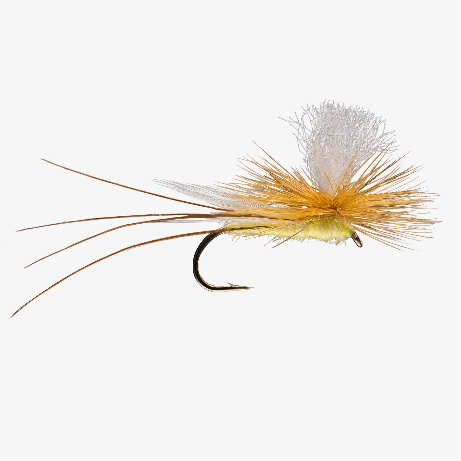 ParachuteCraneFly 