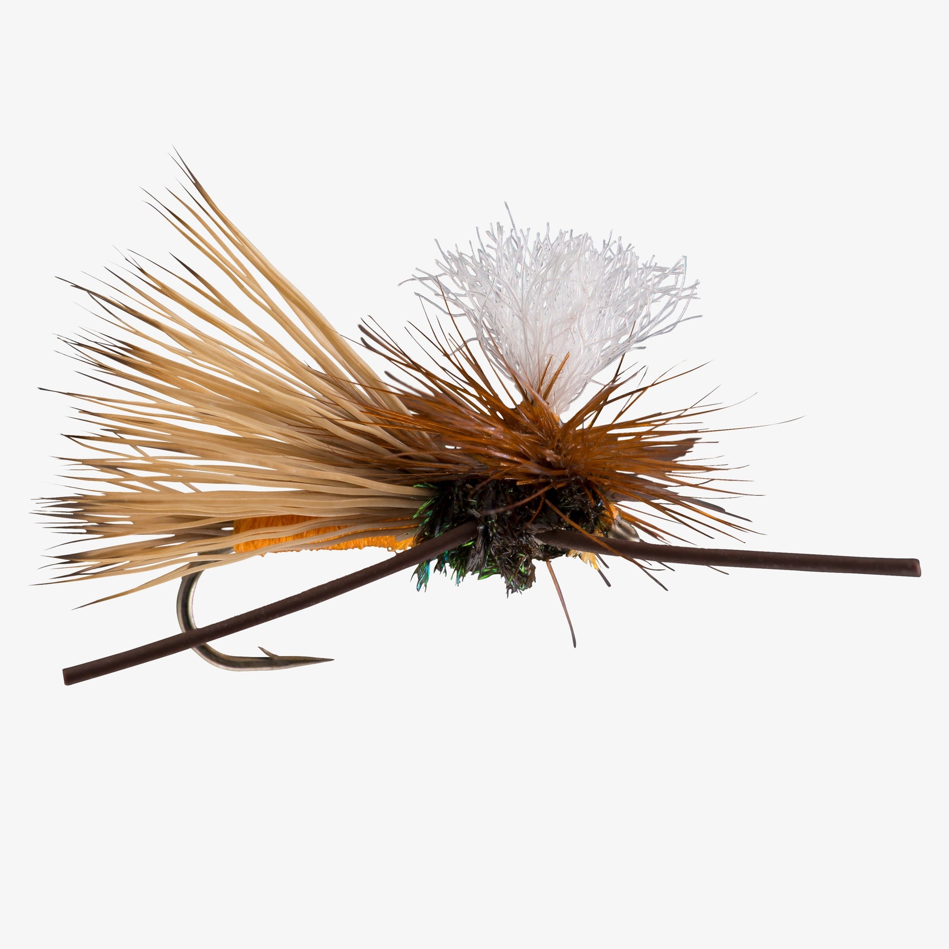 ParachuteMadamX Orange 