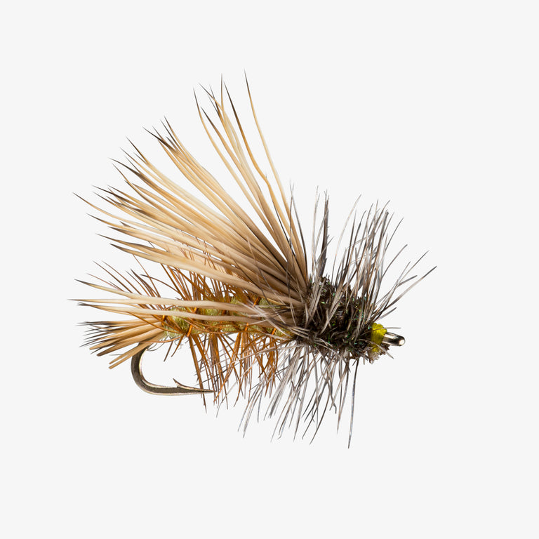 Stimulator Olive 
