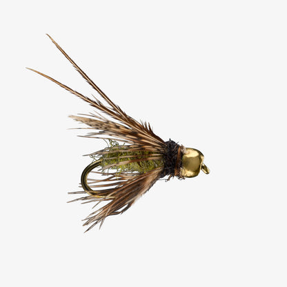 HungarianCaddisPupa Olive 