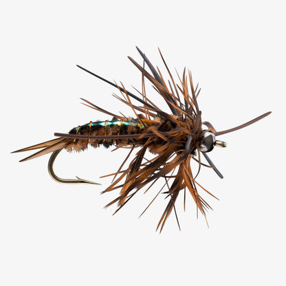 Speculator Brown 