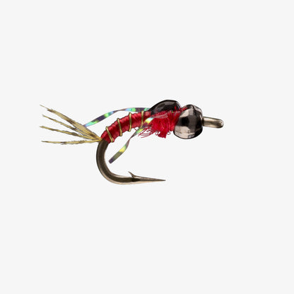 TailwaterTiny  TB Red