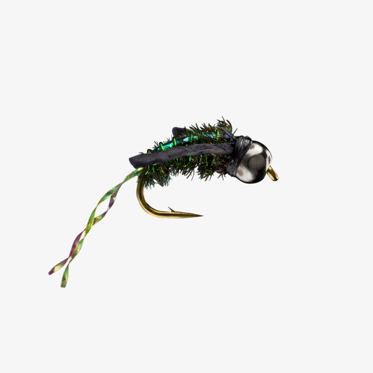 WaterBoatman Peacock 