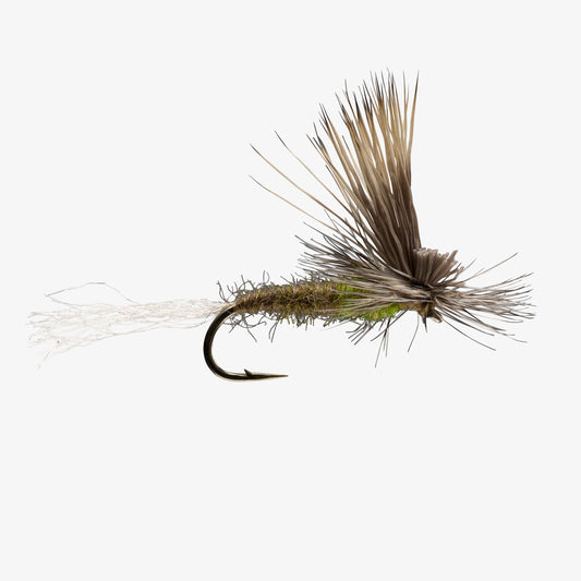 E C Caddis Olive 