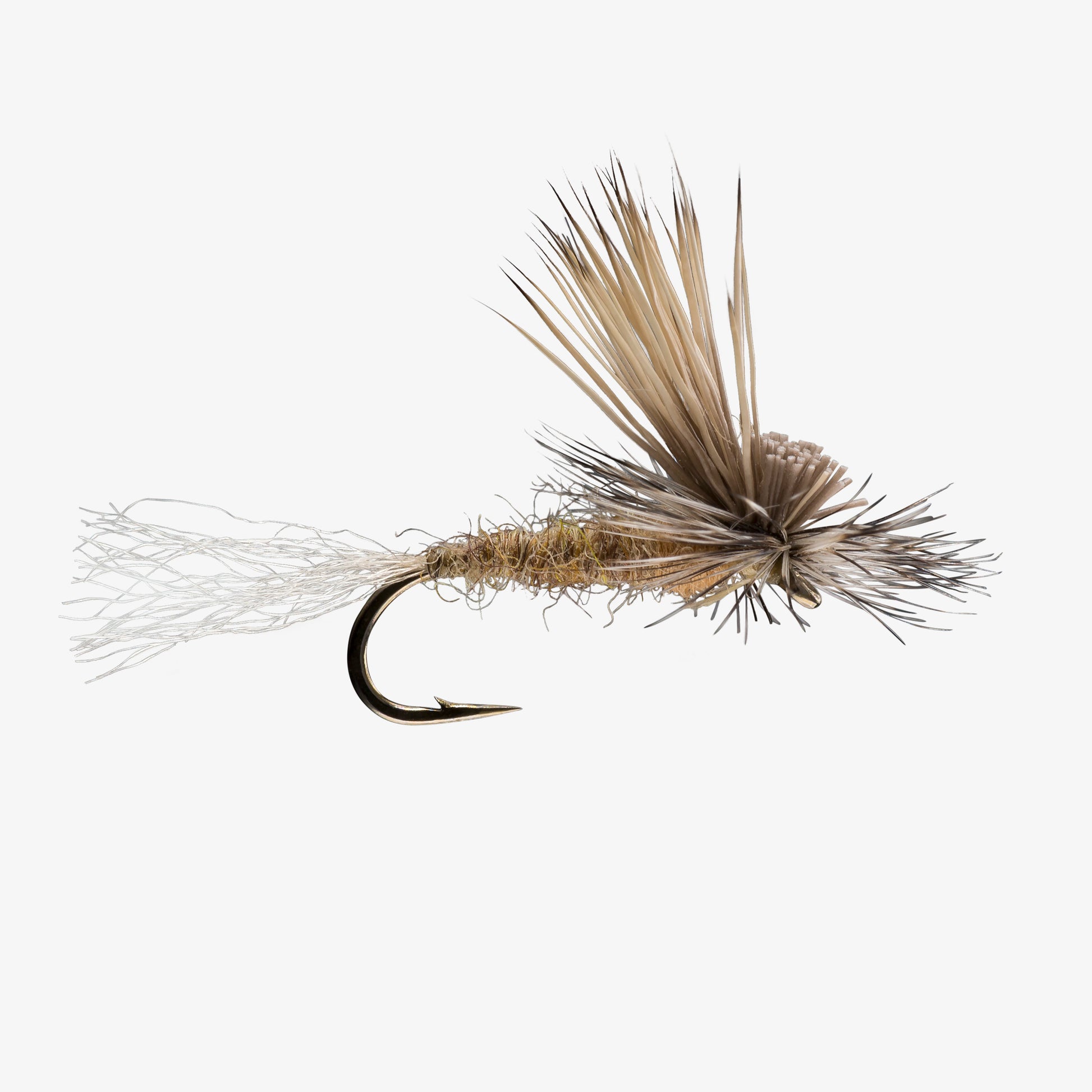 caddis fishing lure Twisted Tungsten Jigged The TJ Twisted Caddis has been an excellent addition to my Twisted Series of flies Tungsten Jig Caddis Larva