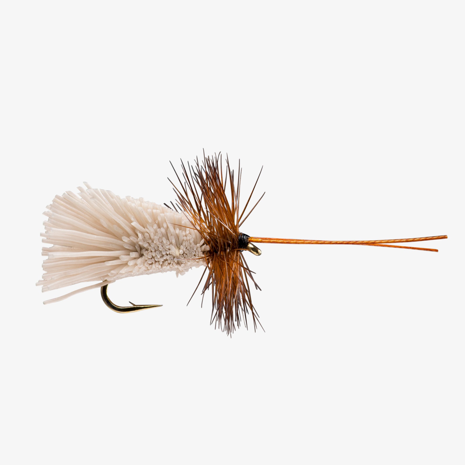 GoddardCaddis 
