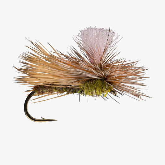 ParachuteCaddis LightOlive 