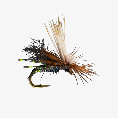 RIO's BodyDoubleCaddis Black 