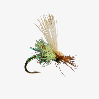 RIO's BodyDoubleCaddis Olive 