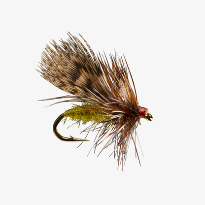 SpentPartridgeCaddis Olive 