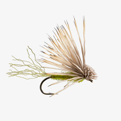 XCaddis Olive 