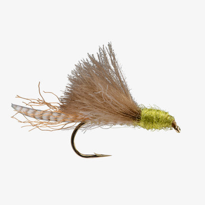 CDCEmerger GreenDrake 