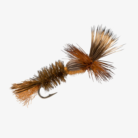 ChallengedDrake Brown 