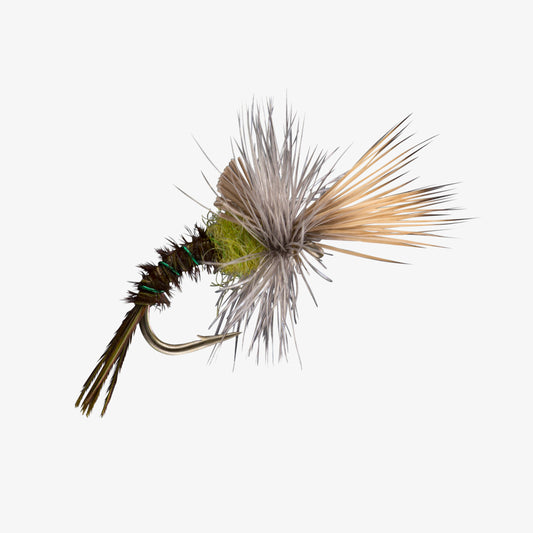Challenged Baetis 