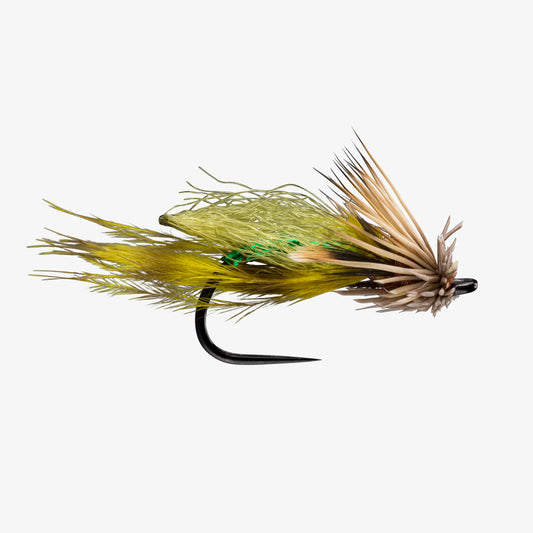 EdibleEmerger Olive 
