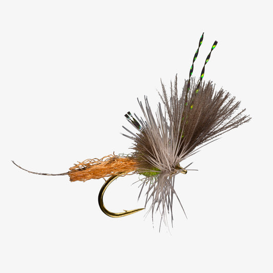 Extendo BWO 
