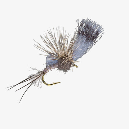 FilmCritic Callibaetis 