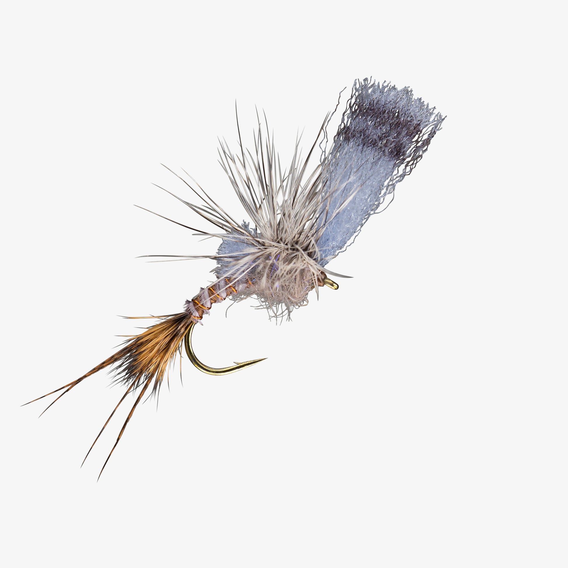 FilmCritic GrayDrake 